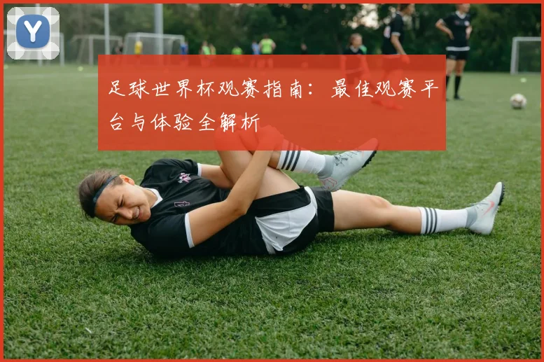 足球世界杯观赛指南：最佳观赛平台与体验全解析
