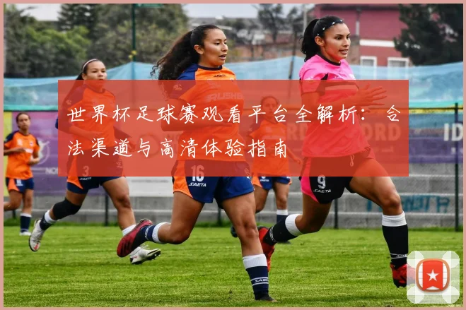 世界杯足球赛观看平台全解析：合法渠道与高清体验指南