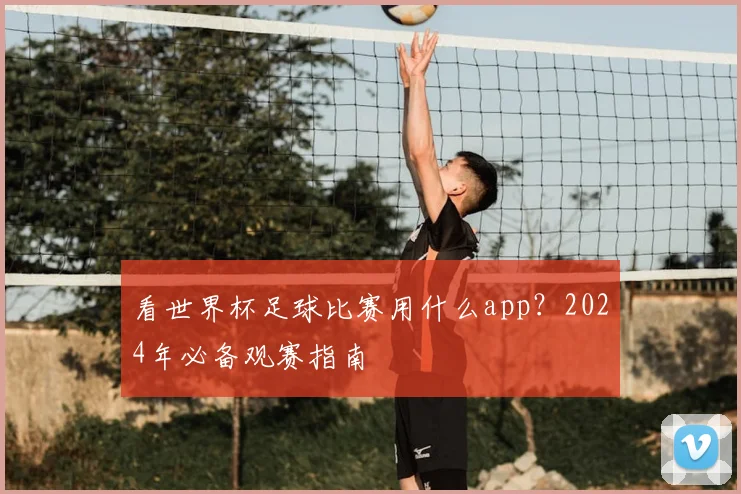 看世界杯足球比赛用什么app？2024年必备观赛指南